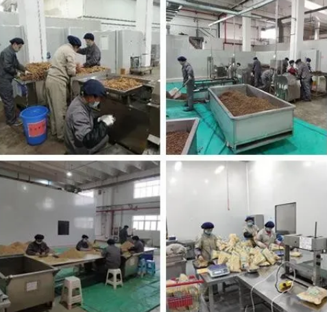 6966集团(中国)有限公司官网