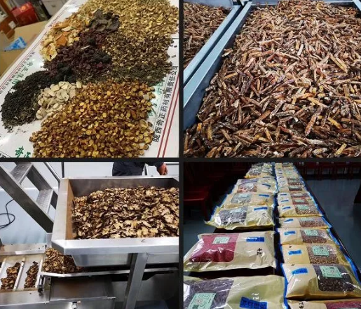 6966集团(中国)有限公司官网