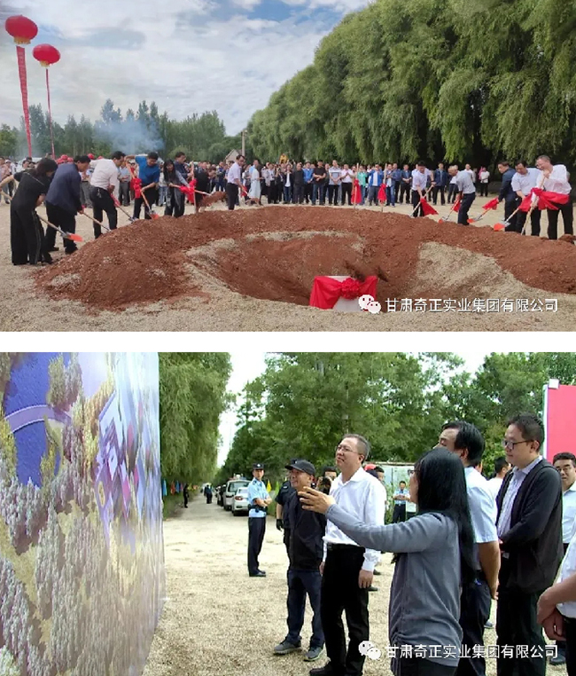 6966集团(中国)有限公司官网