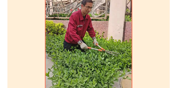 6966集团(中国)有限公司官网