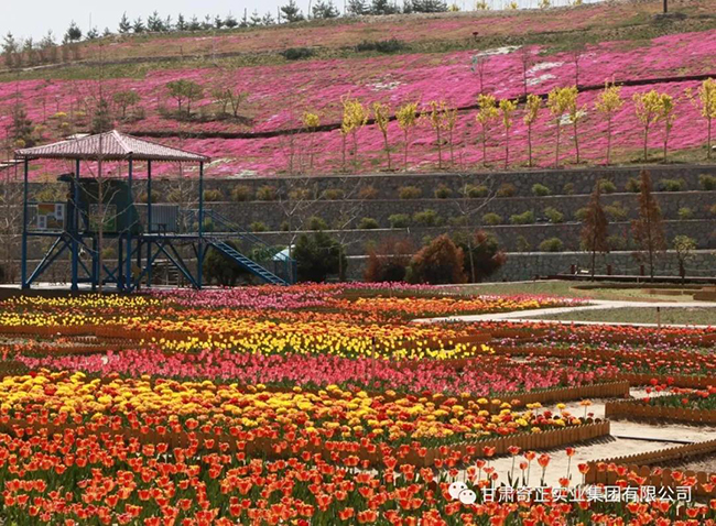 6966集团(中国)有限公司官网