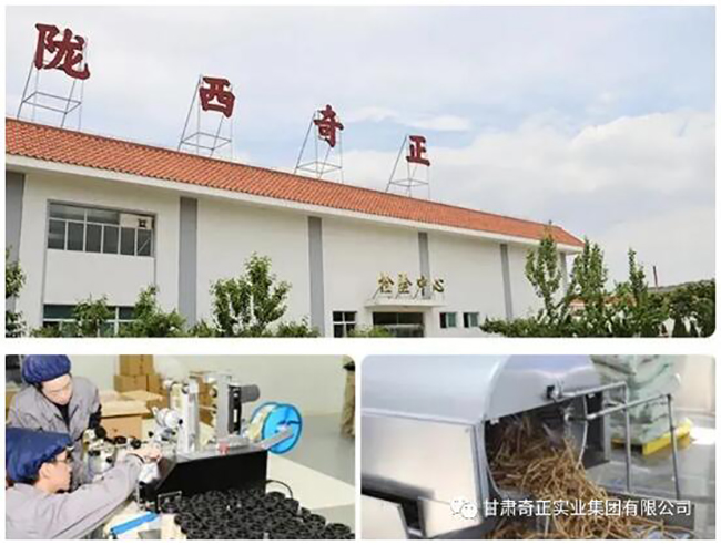 6966集团(中国)有限公司官网