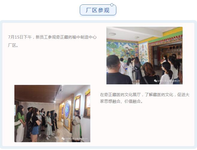 6966集团(中国)有限公司官网