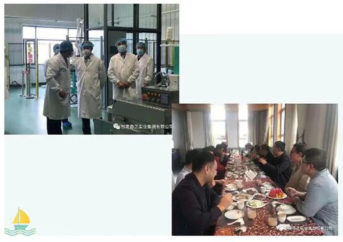 6966集团(中国)有限公司官网