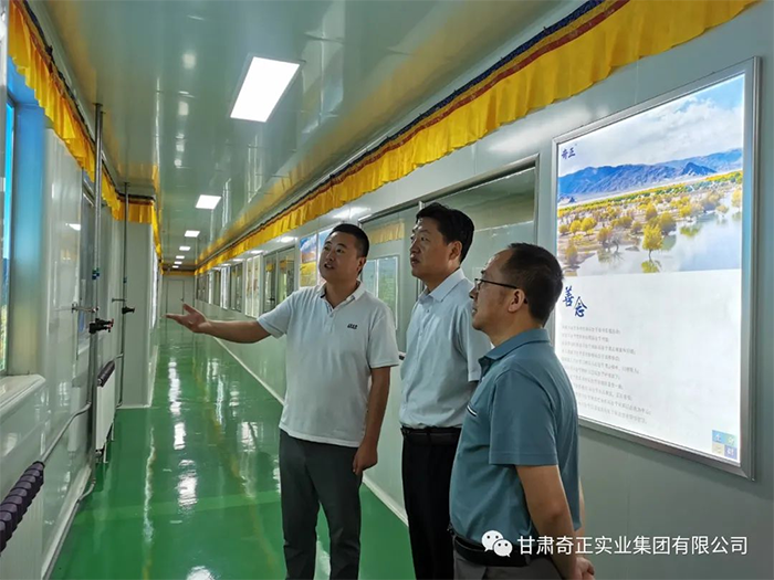 6966集团(中国)有限公司官网