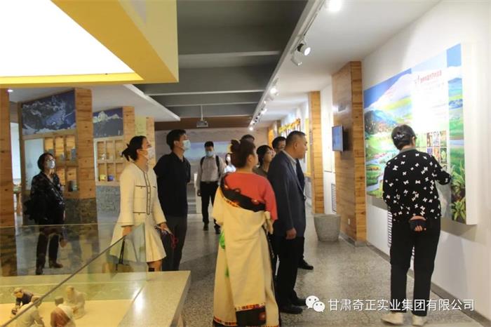 6966集团(中国)有限公司官网