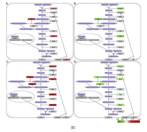 6966集团(中国)有限公司官网