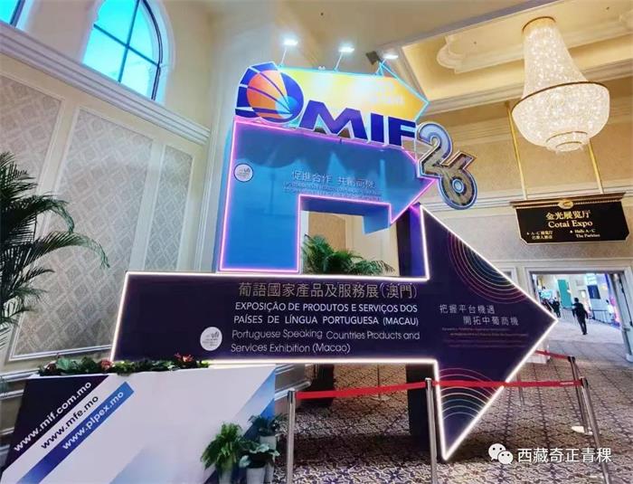 6966集团(中国)有限公司官网