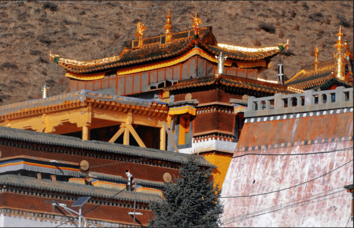 6966集团(中国)有限公司官网