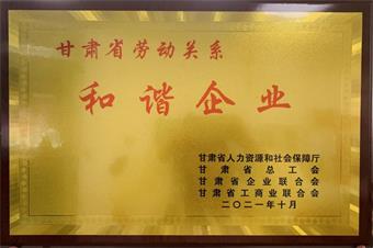 6966集团(中国)有限公司官网