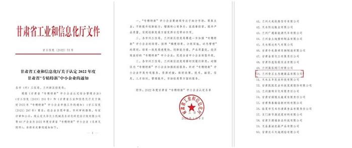 6966集团(中国)有限公司官网