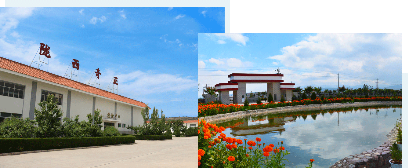 202205311653970814132611