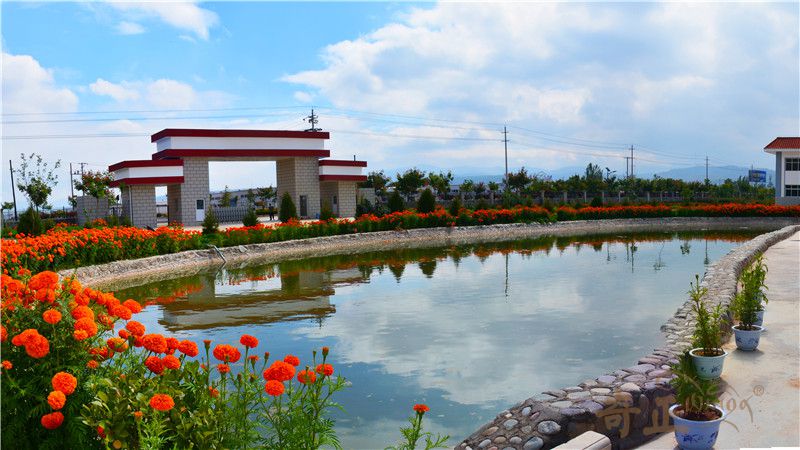 202206021654158009152633