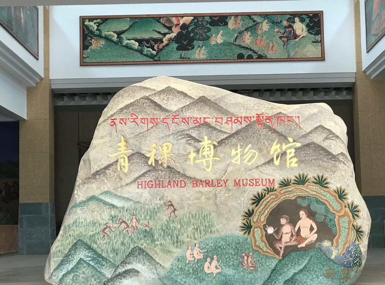 202206081654676823809384