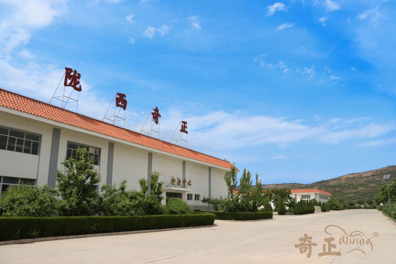 202206081654677661103164