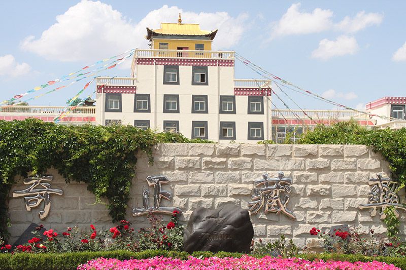 202206081654678033334529