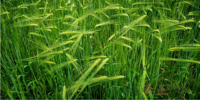 202206131655104858536520