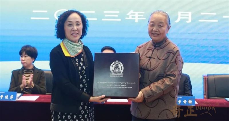 202303311680242690915261