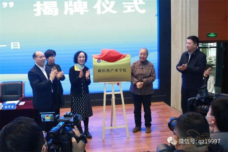 202303311680242806249996