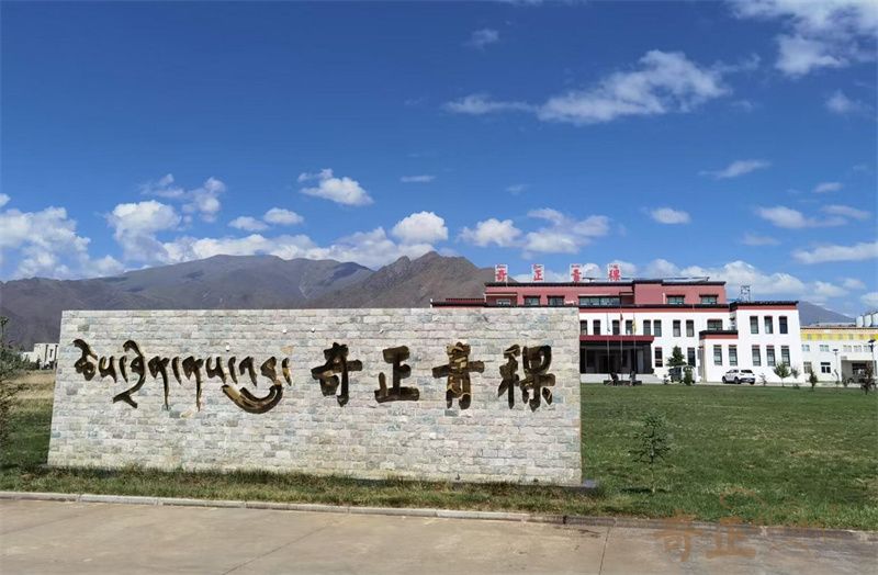 202305161684208067419307