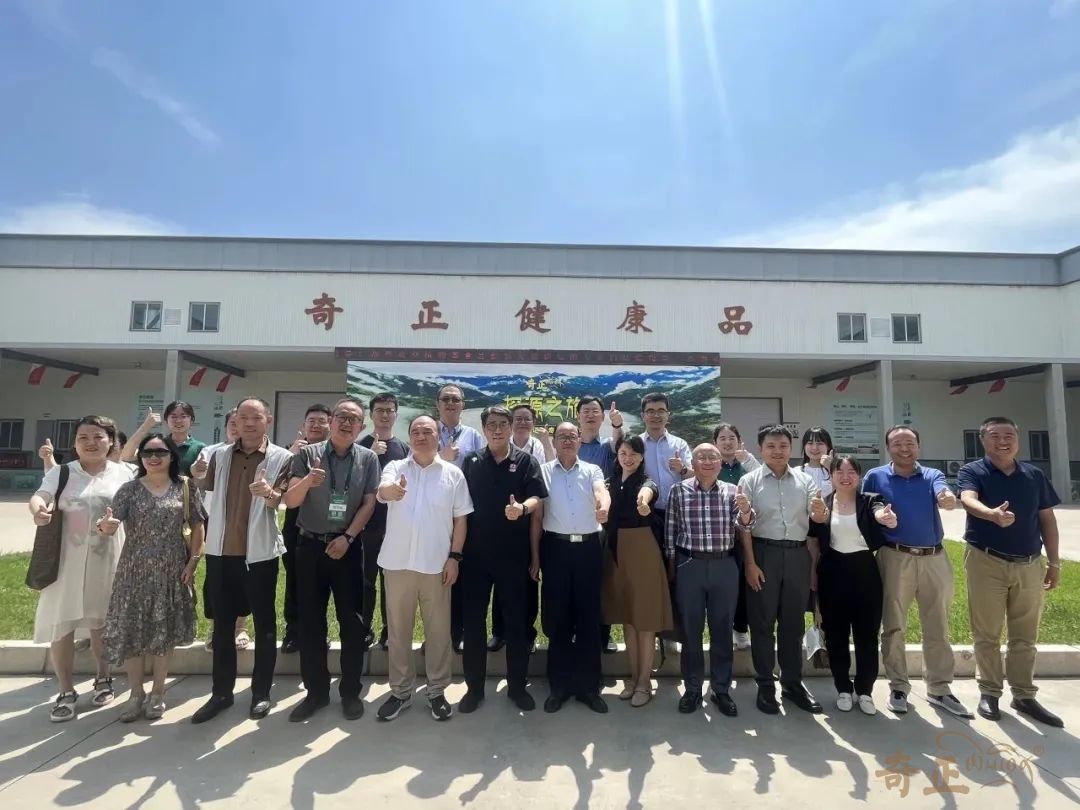 202308041691138906369393