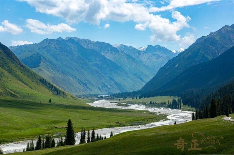 202311171700212223507569