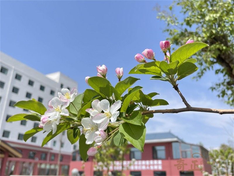 202408011722495255876878