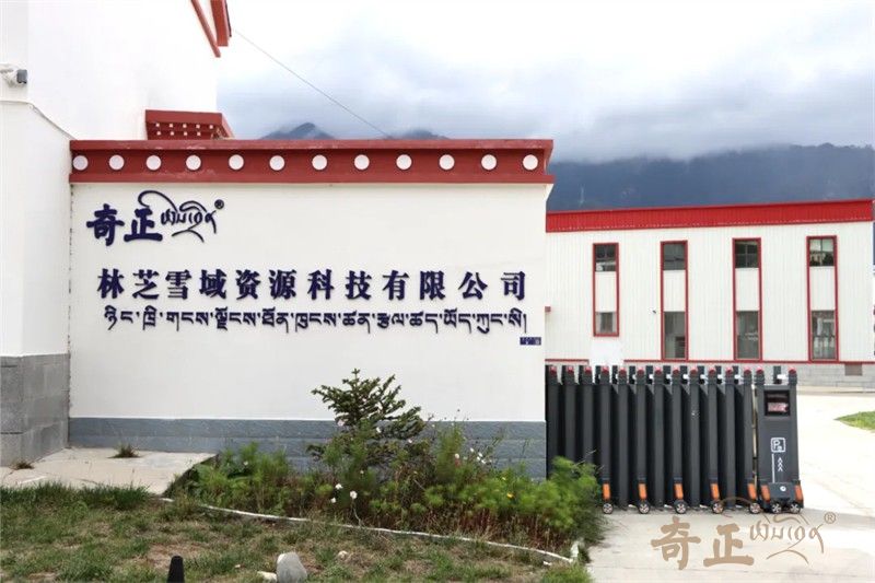 202412171734409194955677