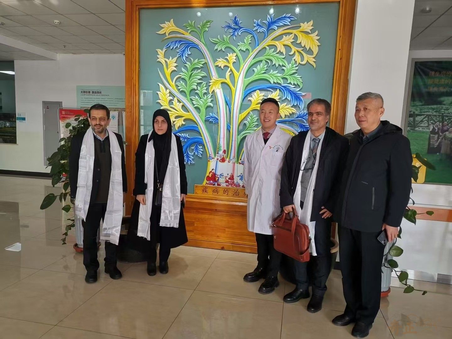 202501171737095680863534