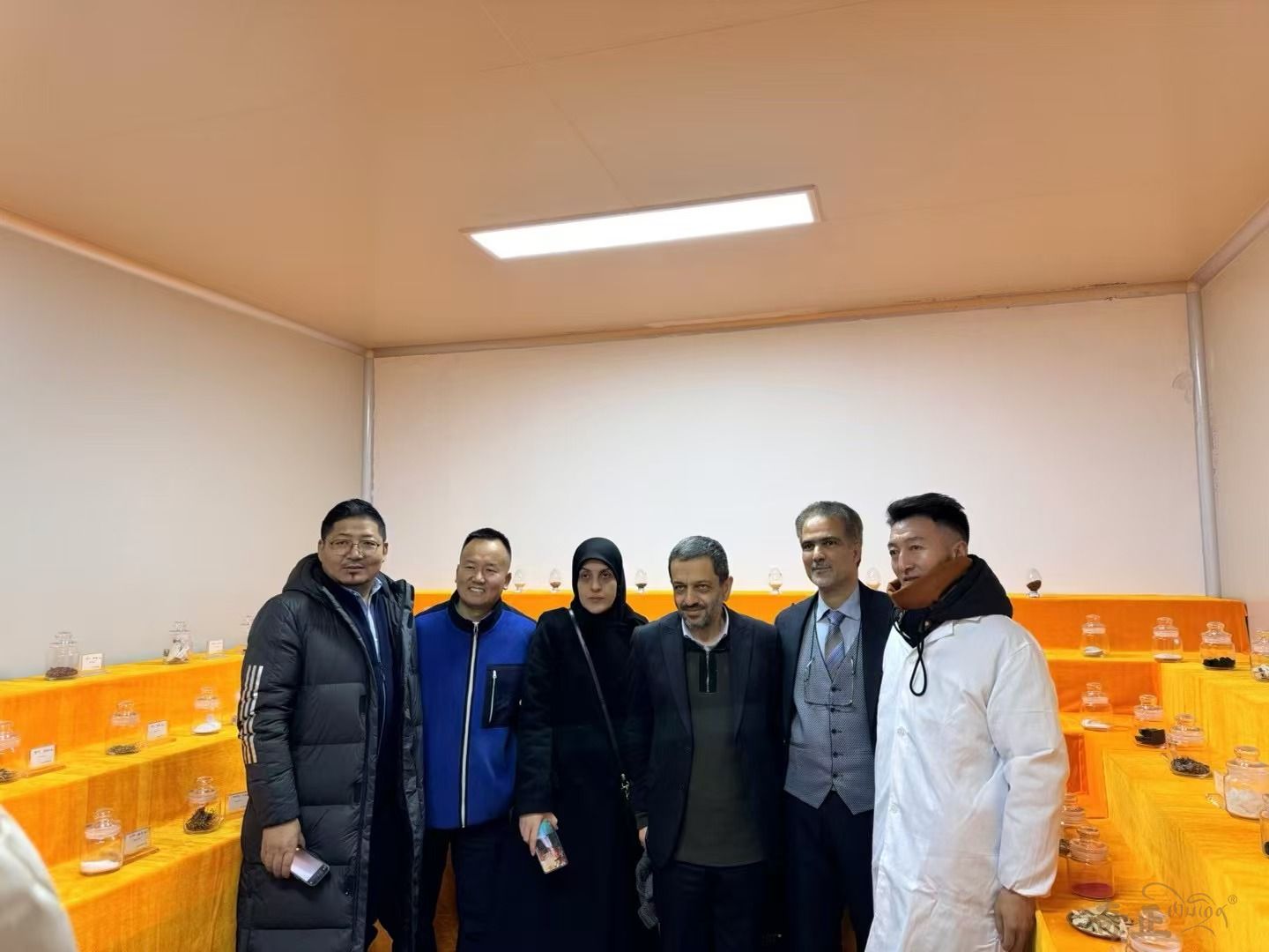 202501171737096788920061