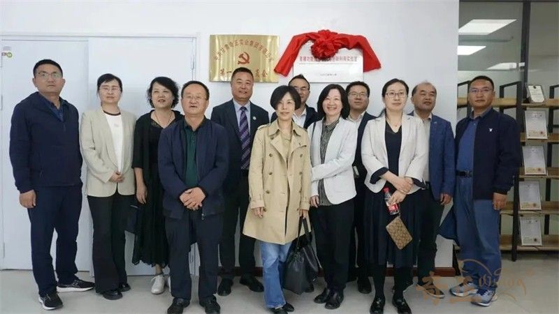 202501221737541200351262