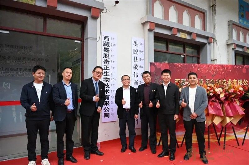 202501221737541649941802