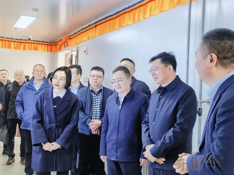 202504011743493158775404