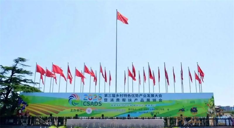 202507151752560258446428