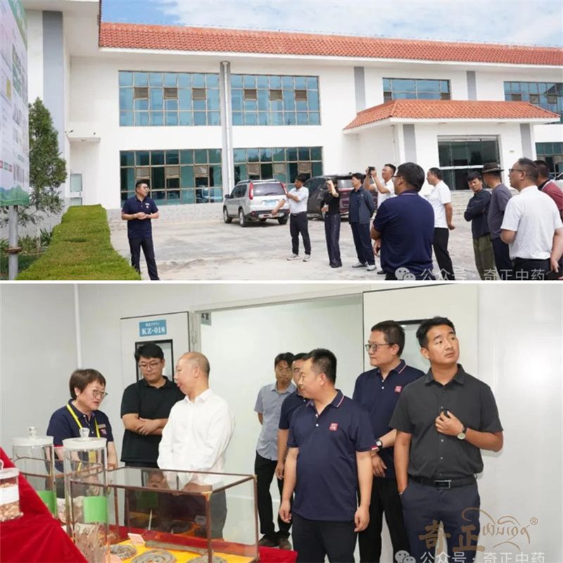 202509191758266729829873