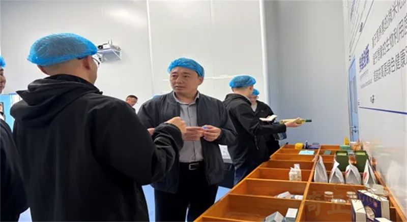 202509191758267202494323