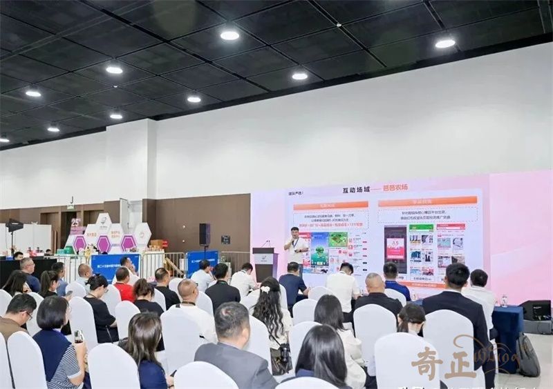 202509191758267865917731