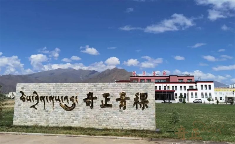 202510091759993717825068