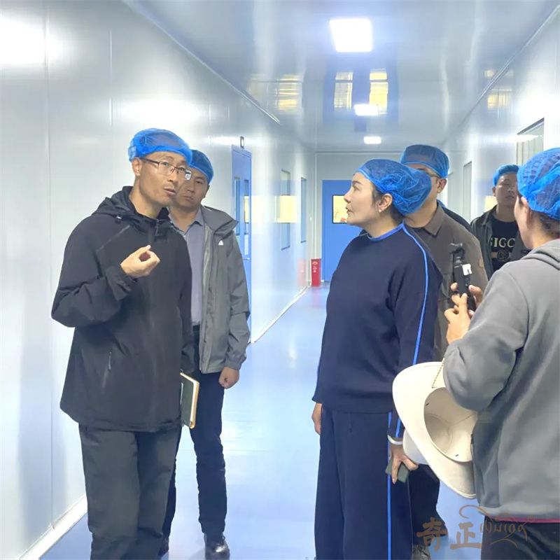 202510091759994099901596