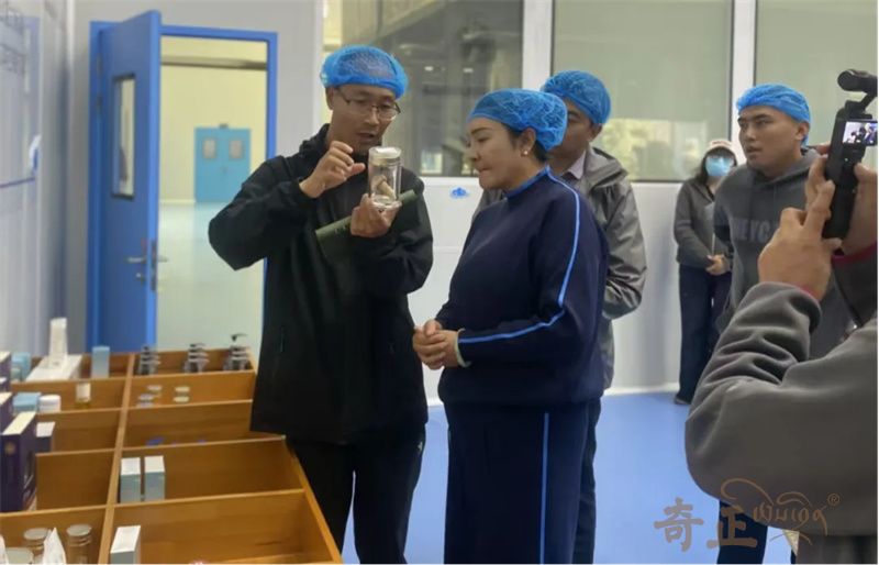 202510091759994181154794