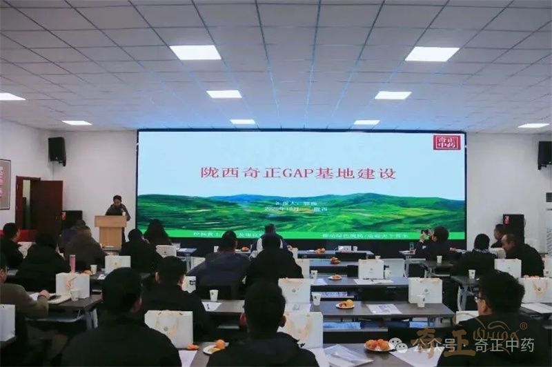 202512241766560553753763