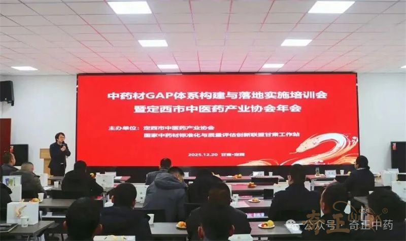 202512241766560606192076