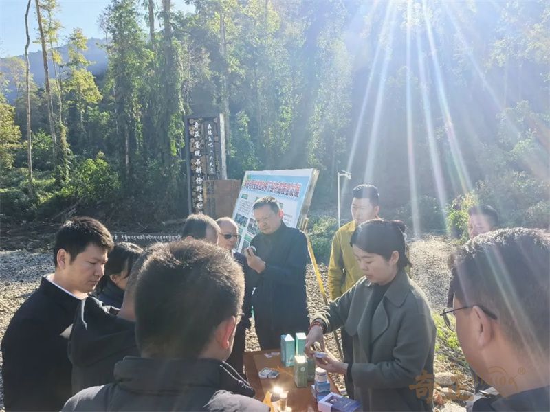 202512241766561149237680