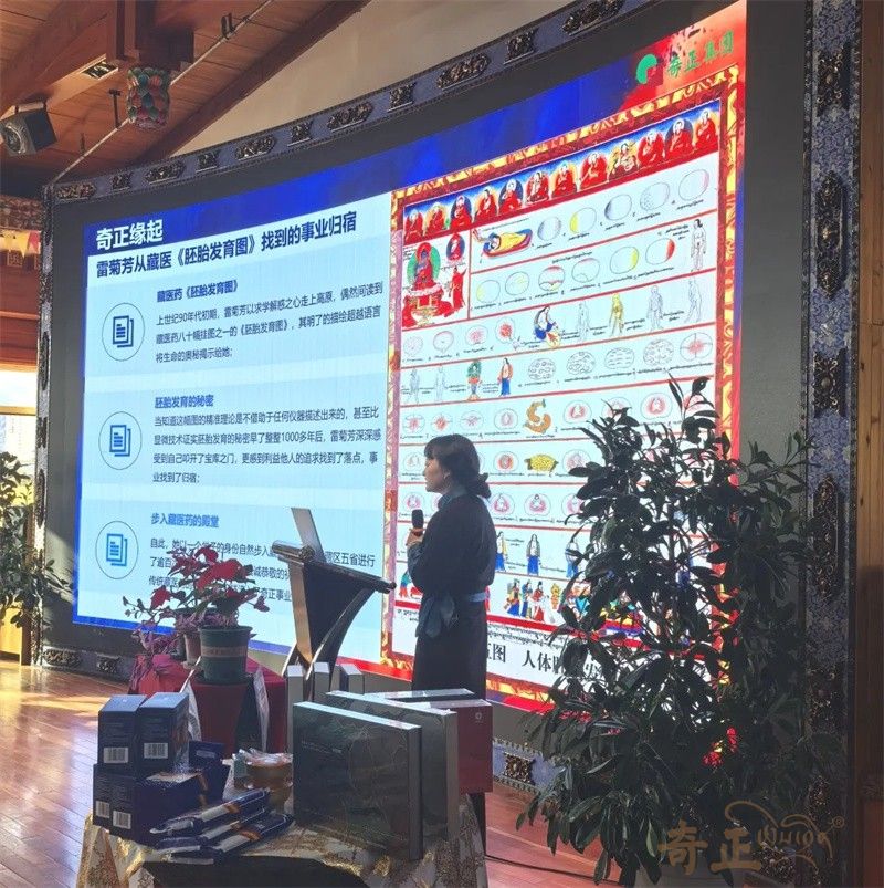 202512241766561466463604