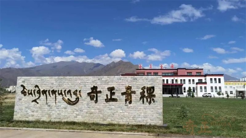 202604131776060886997115