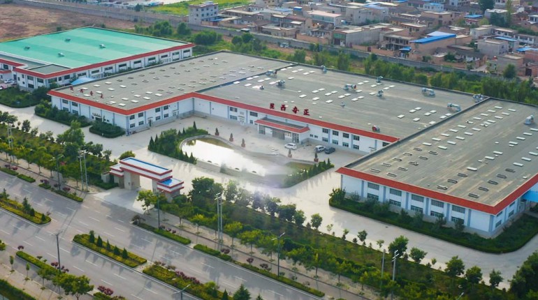 6966集团中药简介