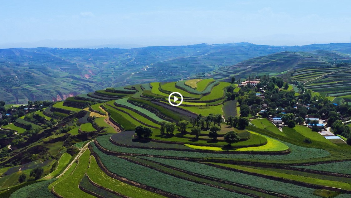 6966集团中药宣传片