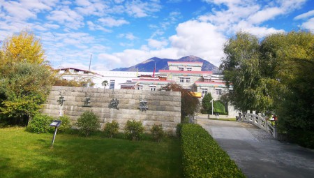 西藏6966集团藏药股份有限公司