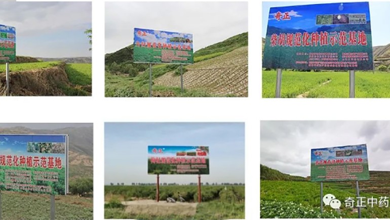 陇西6966集团药材有限责任公司入选第一批国度中药材尺度化与质量评估创新同盟GAP沉点造就单元