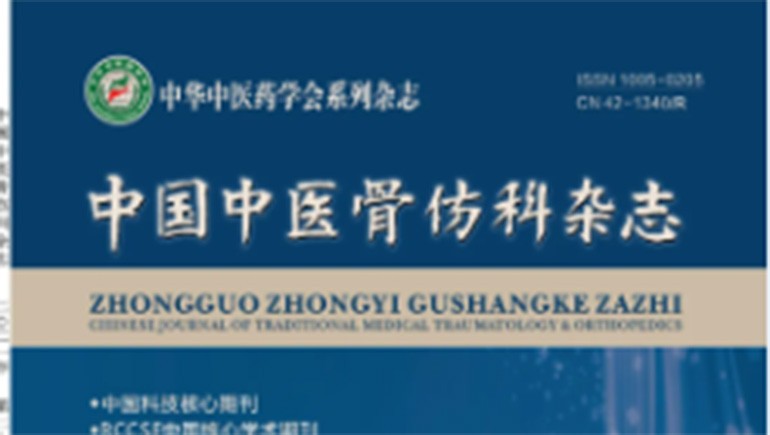 6966集团白脉软膏时效性钻研见刊主题期刊《中国中医骨伤科杂志》